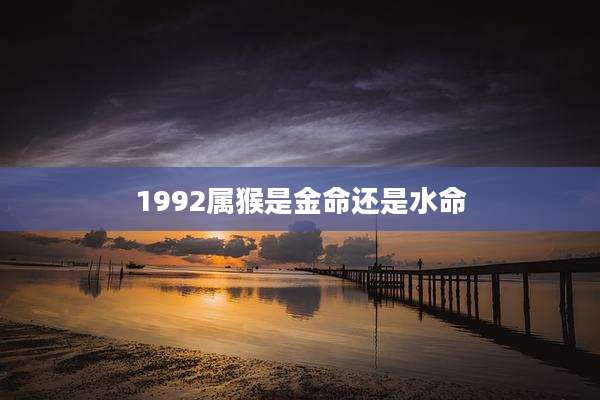 1992属猴是金命还是水命