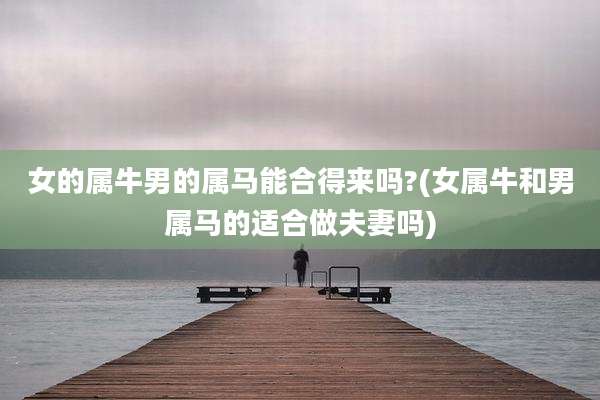女的属牛男的属马能合得来吗?(女属牛和男属马的适合做夫妻吗)