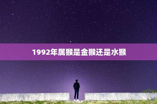 1992年属猴是金猴还是水猴