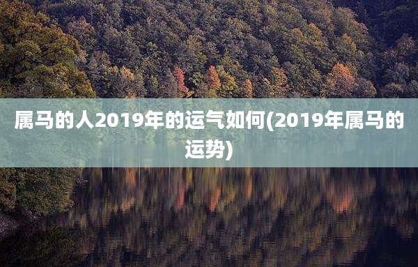 属马的人2019年的运气如何(2019年属马的运势)