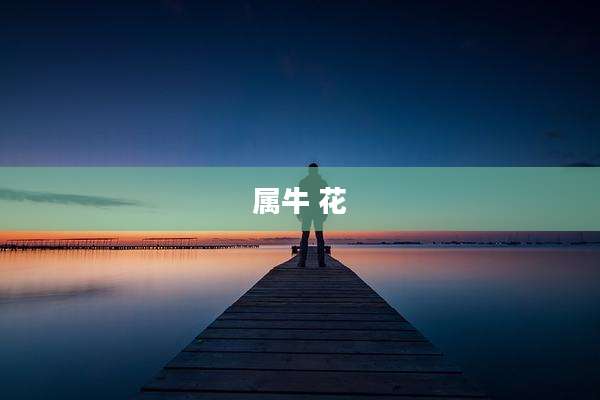 属牛 花