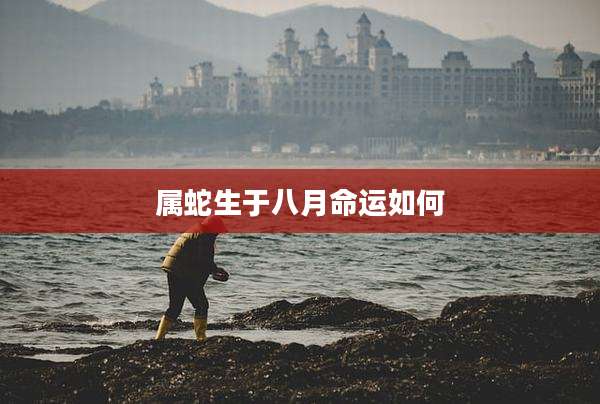 属蛇生于八月命运如何
