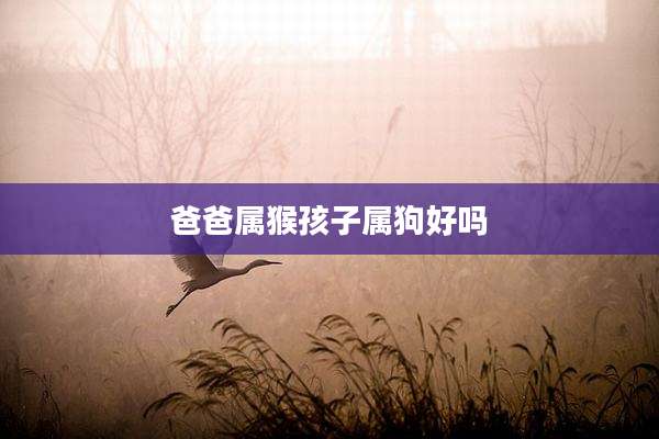 爸爸属猴孩子属狗好吗