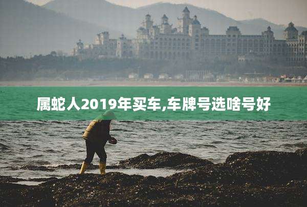 属蛇人2019年买车,车牌号选啥号好