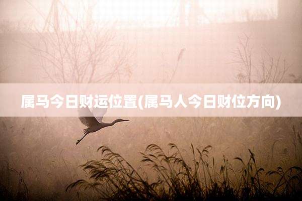 属马今日财运位置(属马人今日财位方向)