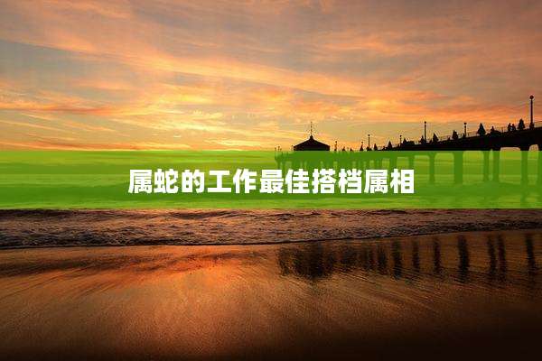 属蛇的工作最佳搭档属相