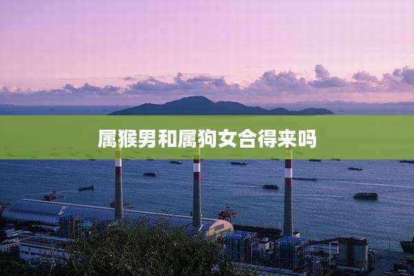 属猴男和属狗女合得来吗