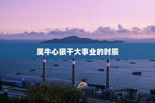 属牛心狠干大事业的时辰