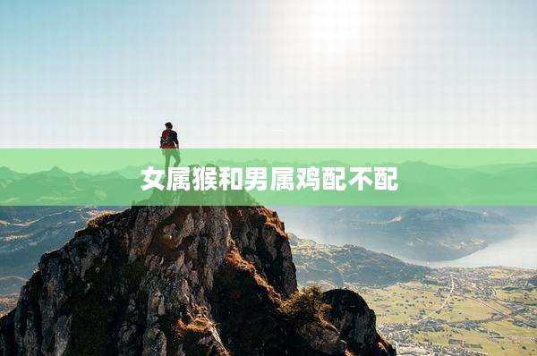 女属猴和男属鸡配不配