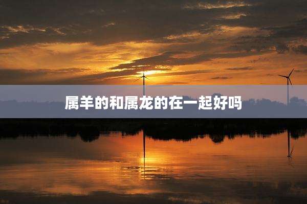 属羊的和属龙的在一起好吗