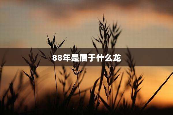 88年是属于什么龙