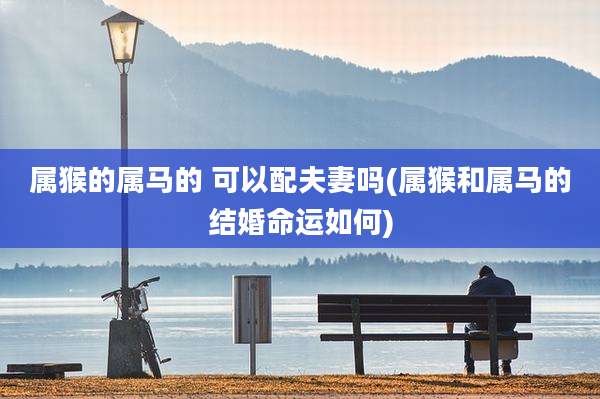 属猴的属马的 可以配夫妻吗(属猴和属马的结婚命运如何)