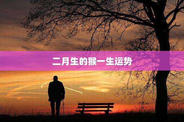 二月生的猴一生运势