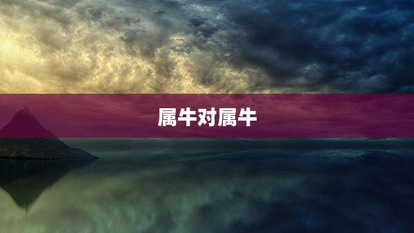 属牛对属牛