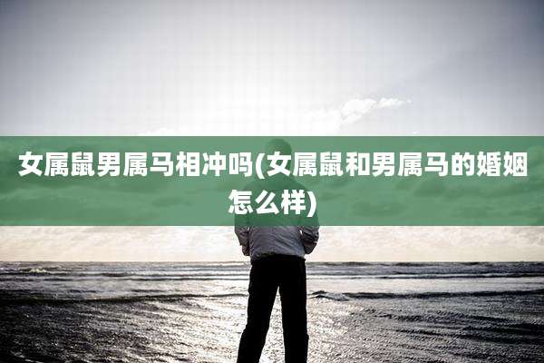 女属鼠男属马相冲吗(女属鼠和男属马的婚姻怎么样)