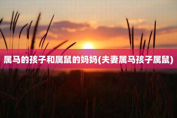 属马的孩子和属鼠的妈妈(夫妻属马孩子属鼠)