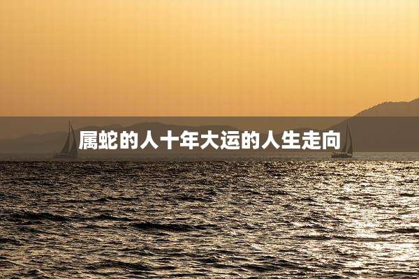 属蛇的人十年大运的人生走向