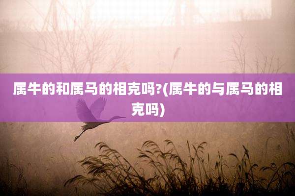 属牛的和属马的相克吗?(属牛的与属马的相克吗)