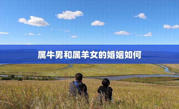 属牛男和属羊女的婚姻如何