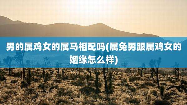 男的属鸡女的属马相配吗(属兔男跟属鸡女的姻缘怎么样)