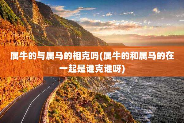 属牛的与属马的相克吗(属牛的和属马的在一起是谁克谁呀)