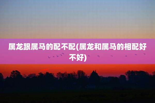 属龙跟属马的配不配(属龙和属马的相配好不好)