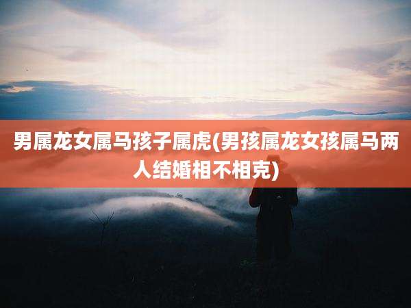 男属龙女属马孩子属虎(男孩属龙女孩属马两人结婚相不相克)