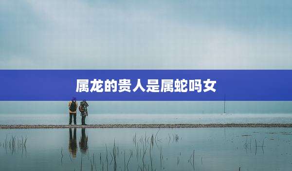 属龙的贵人是属蛇吗女