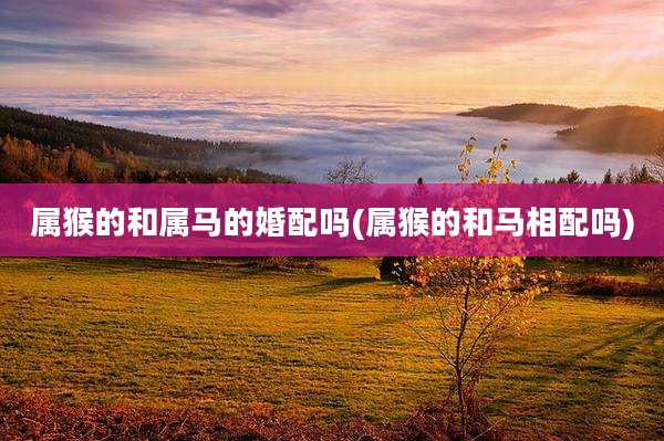 属猴的和属马的婚配吗(属猴的和马相配吗)