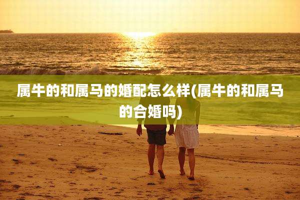 属牛的和属马的婚配怎么样(属牛的和属马的合婚吗)