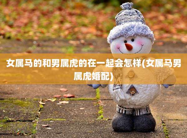 女属马的和男属虎的在一起会怎样(女属马男属虎婚配)