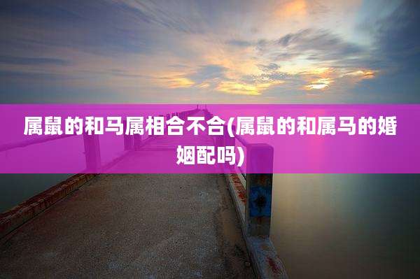 属鼠的和马属相合不合(属鼠的和属马的婚姻配吗)