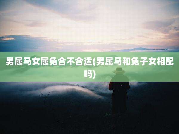 男属马女属兔合不合适(男属马和兔子女相配吗)