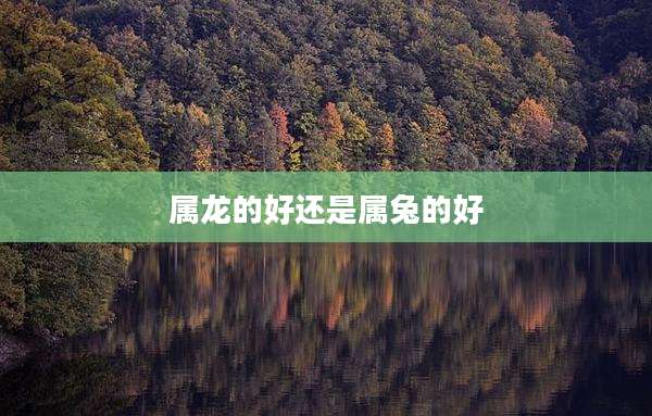 属龙的好还是属兔的好