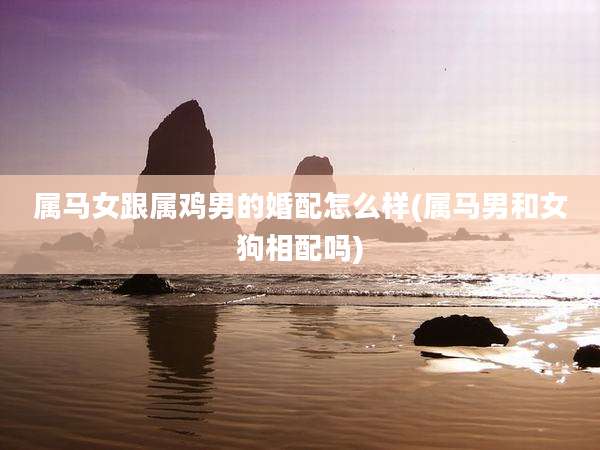 属马女跟属鸡男的婚配怎么样(属马男和女狗相配吗)