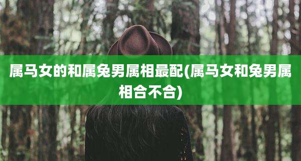 属马女的和属兔男属相最配(属马女和兔男属相合不合)