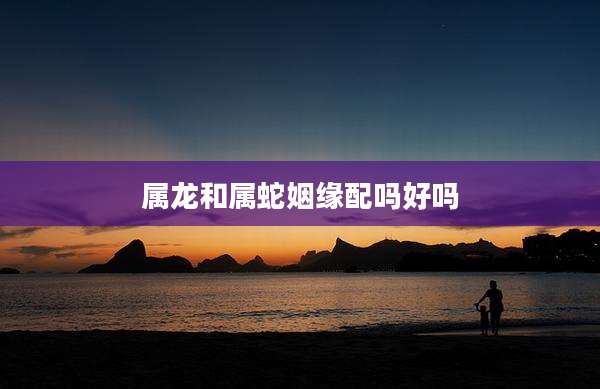 属龙和属蛇姻缘配吗好吗