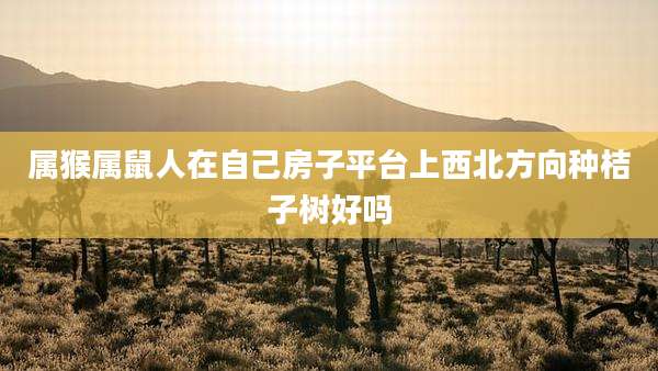 属猴属鼠人在自己房子平台上西北方向种桔子树好吗