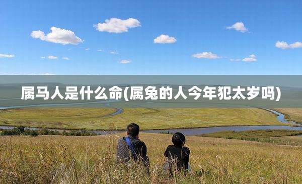 属马人是什么命(属兔的人今年犯太岁吗)