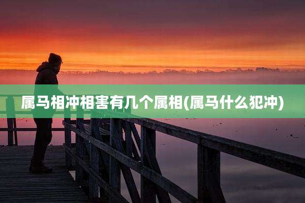 属马相冲相害有几个属相(属马什么犯冲)