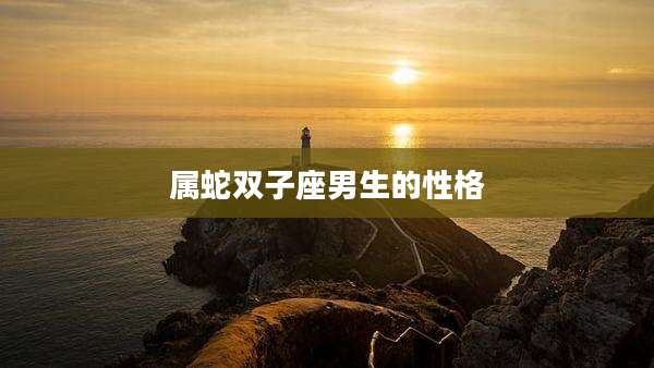 属蛇双子座男生的性格