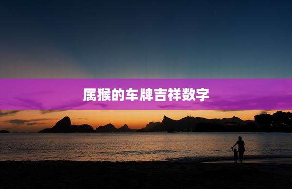 属猴的车牌吉祥数字