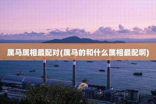 属马属相最配对(属马的和什么属相最配啊)