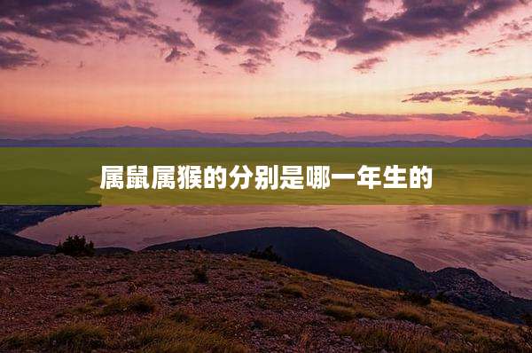 属鼠属猴的分别是哪一年生的