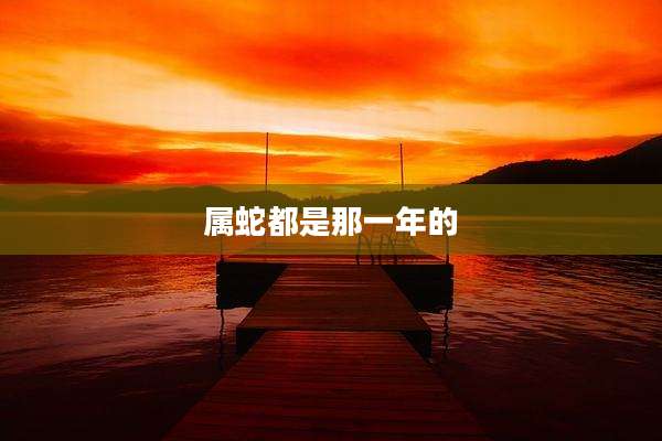 属蛇都是那一年的