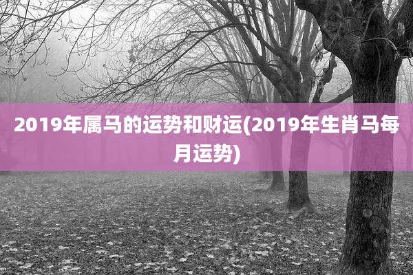 2019年属马的运势和财运(2019年生肖马每月运势)