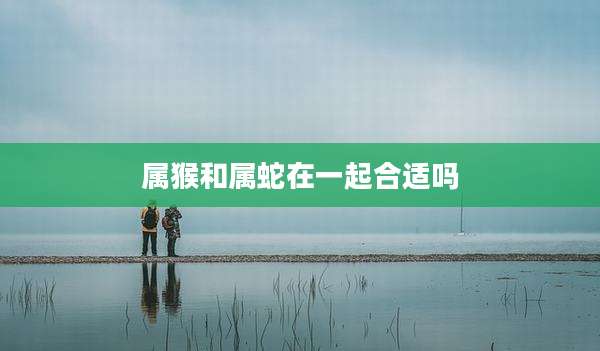 属猴和属蛇在一起合适吗