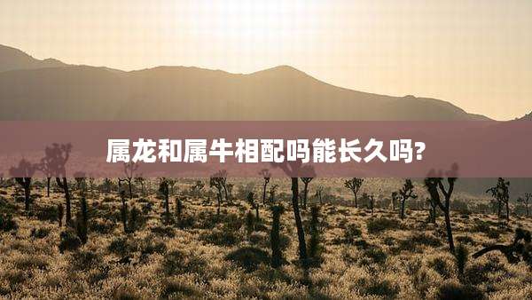 属龙和属牛相配吗能长久吗?