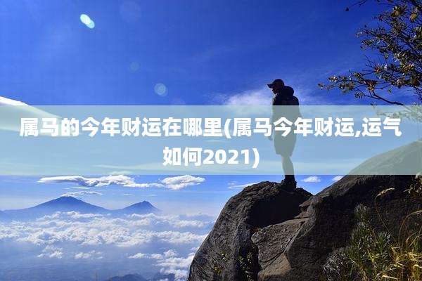 属马的今年财运在哪里(属马今年财运,运气如何2021)