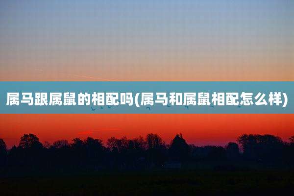 属马跟属鼠的相配吗(属马和属鼠相配怎么样)